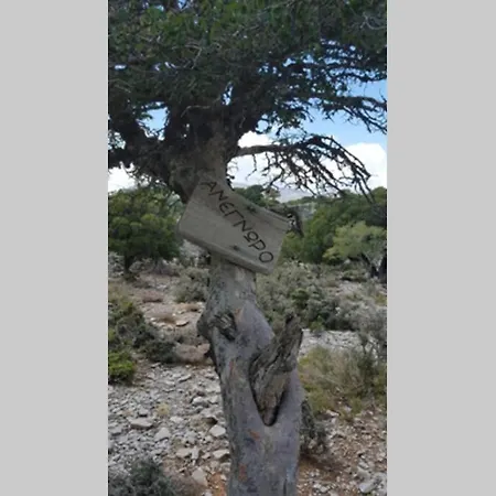 Strata * Kardhamiana